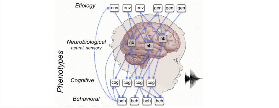 igert-brain-figure